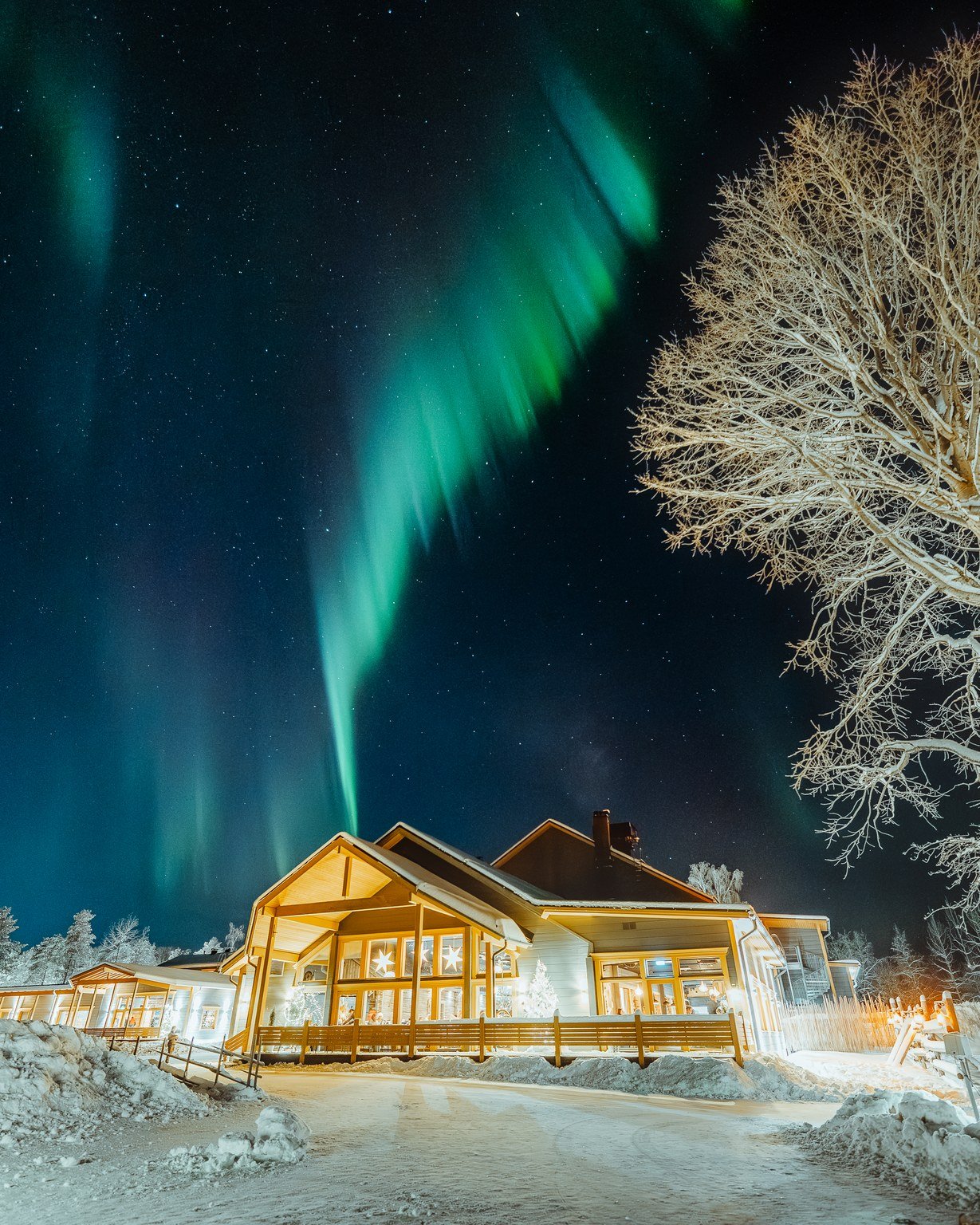 Bright Northern Lights over a lodge and frosted trees