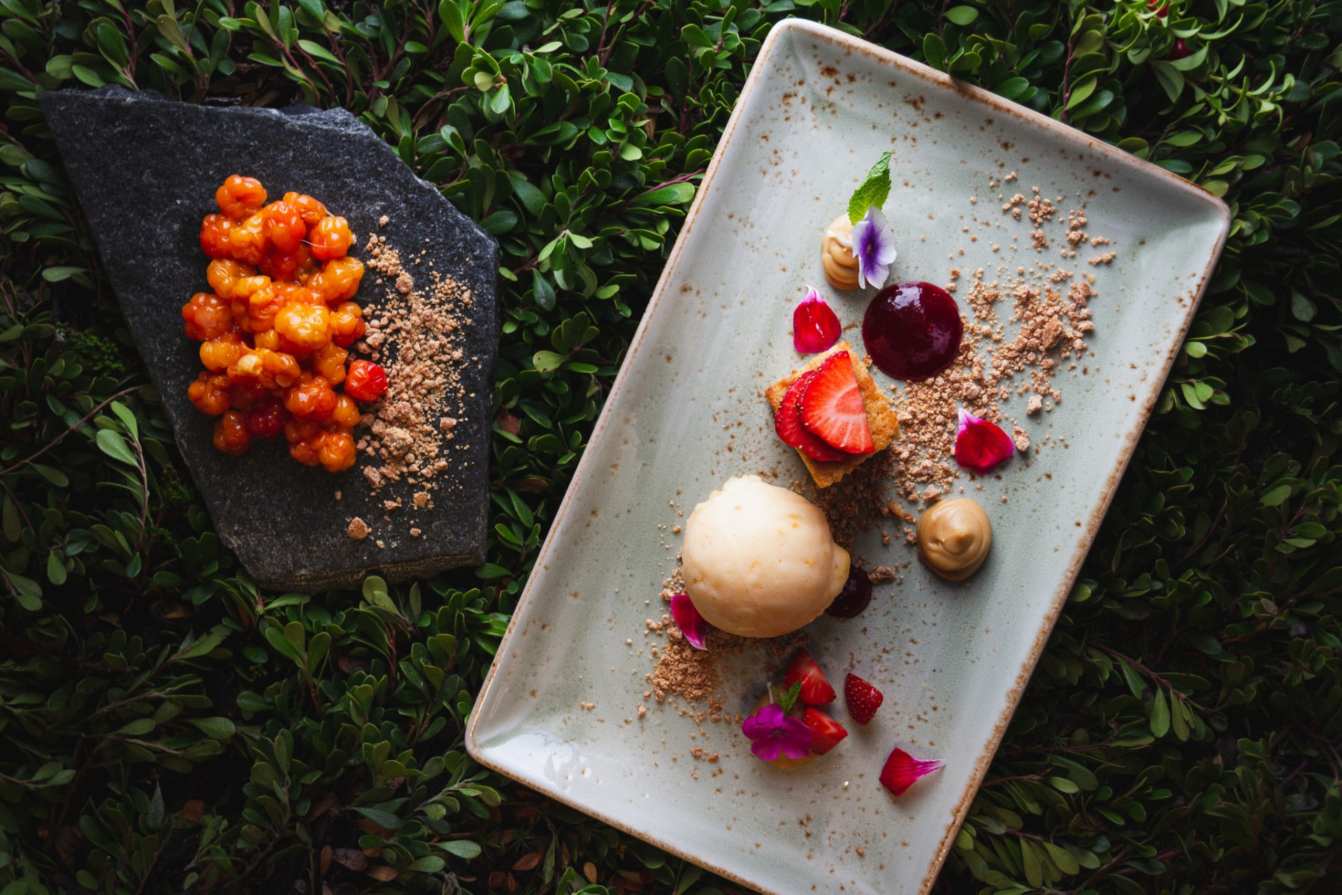 White chocolate cake with cloudberry sorbet