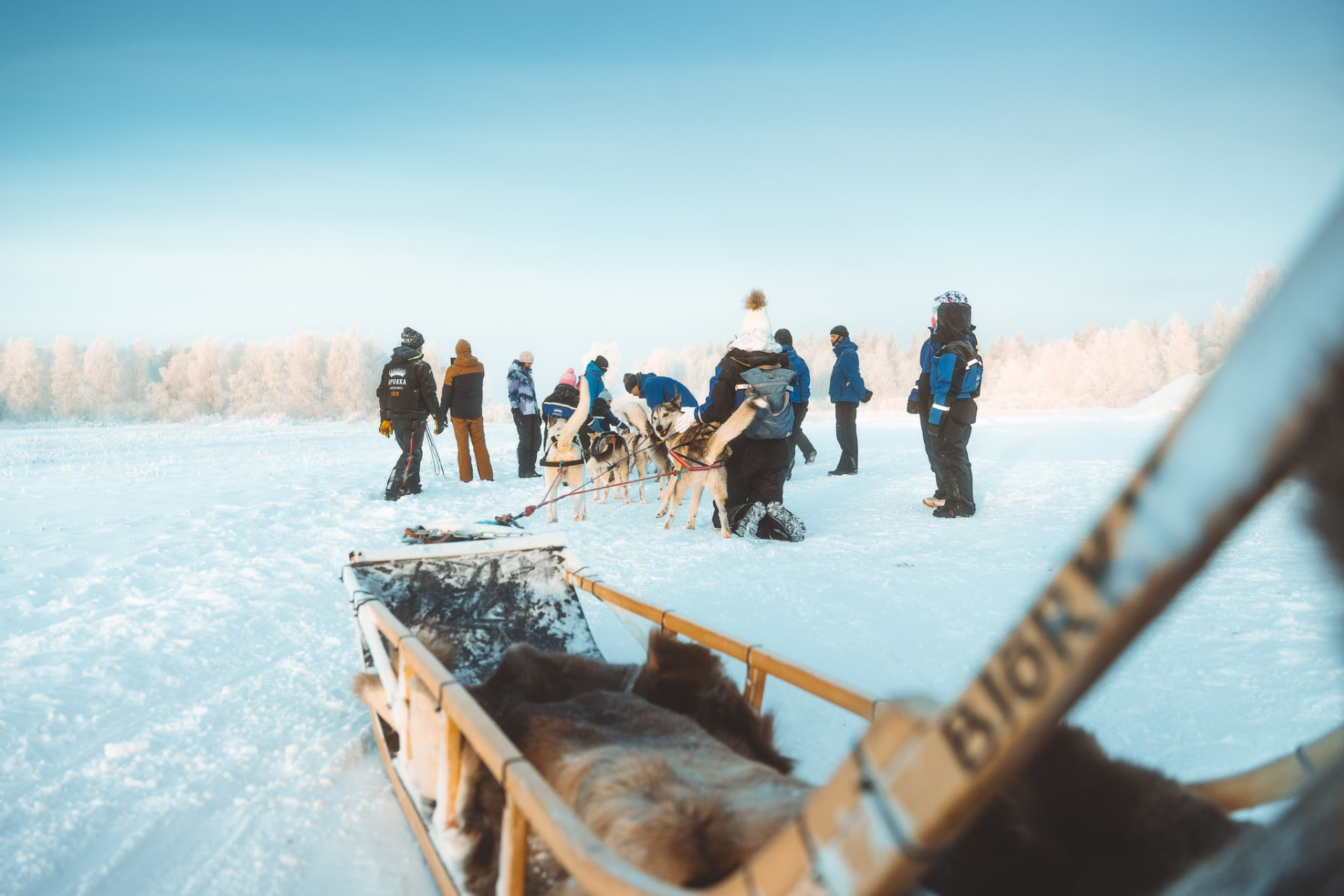 Guests beside a reindeer sleigh on a snowy field in Rovaniemi